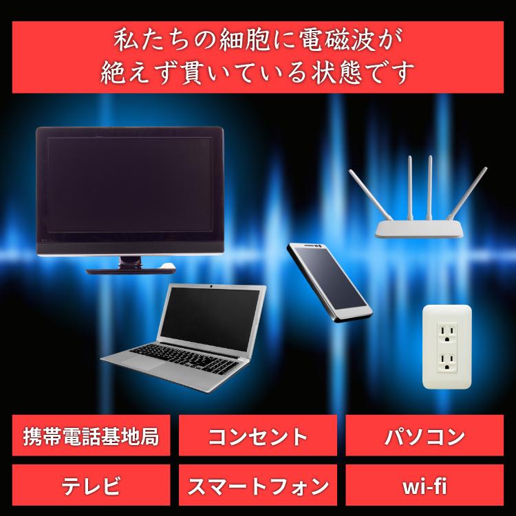 ポイント10倍 5年保証 ソマヴェディック エルオーラ・ゴールド 【正規販売店】 AxisMundi ヒーリング装置 シリカ水 ヒーリング 磁場 送料無料_14