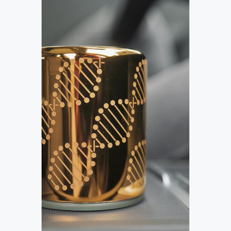 ポイント10倍 5年保証 ソマヴェディック エルオーラ・ゴールド 【正規販売店】 AxisMundi ヒーリング装置 シリカ水 ヒーリング 磁場 送料無料_7