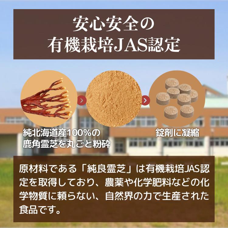 β−グルカンDX 120粒 サプリ 有機栽培JAS認定霊芝使用 純北海道産100 