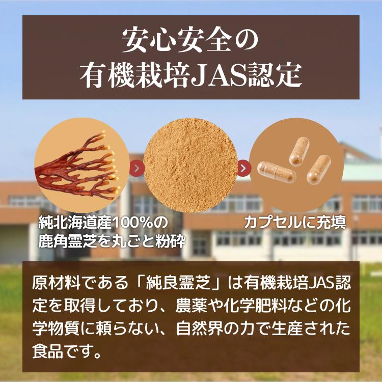 旺煌 鹿角霊芝 プレミアム DX 180粒 エキス末使用 糖質が気になる方に