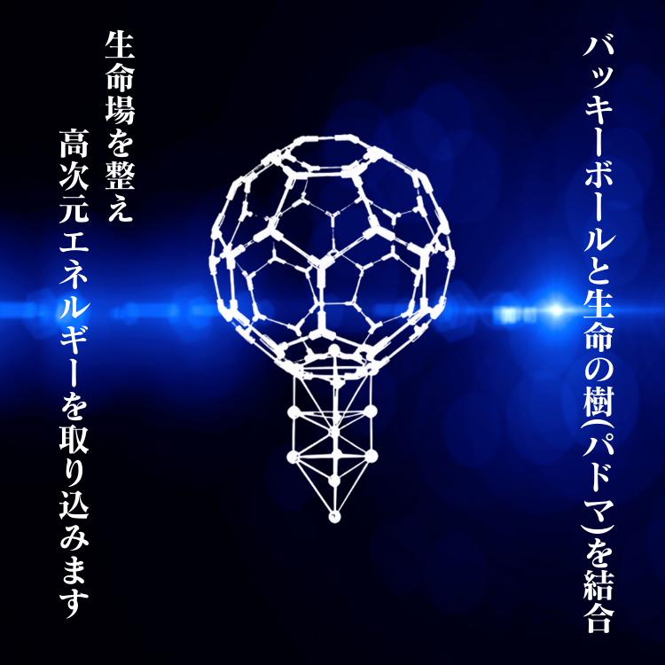 バッキーカバラキーホルダー 001.jpg