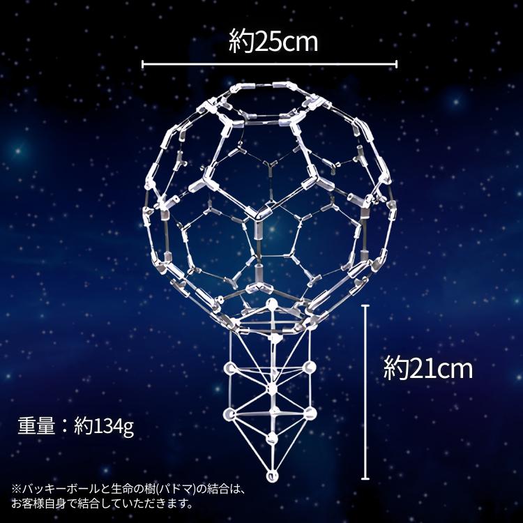 模型 バッキーボール（組立式）バッキーボール 模型 組立式 + 3Dカバラ
