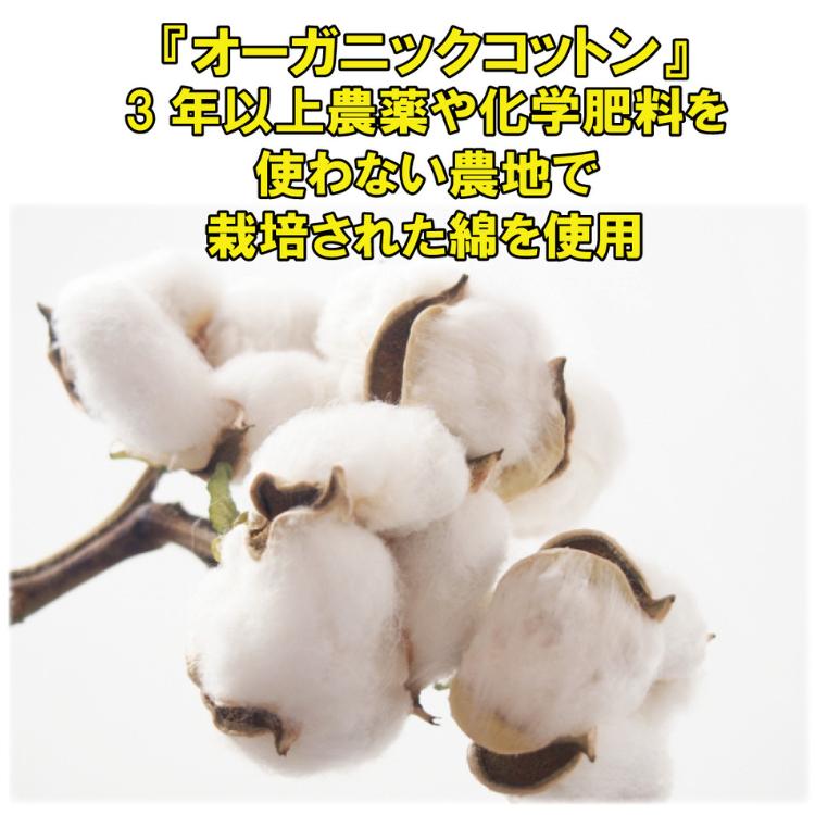 センタライズ パーカー アロン 男女兼用 オーガニックコットン カサラ