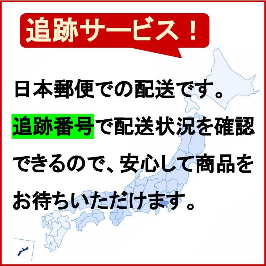 チャップアップ 03 3本 120ml/本 育毛ローション 正規品 旧パッケージ