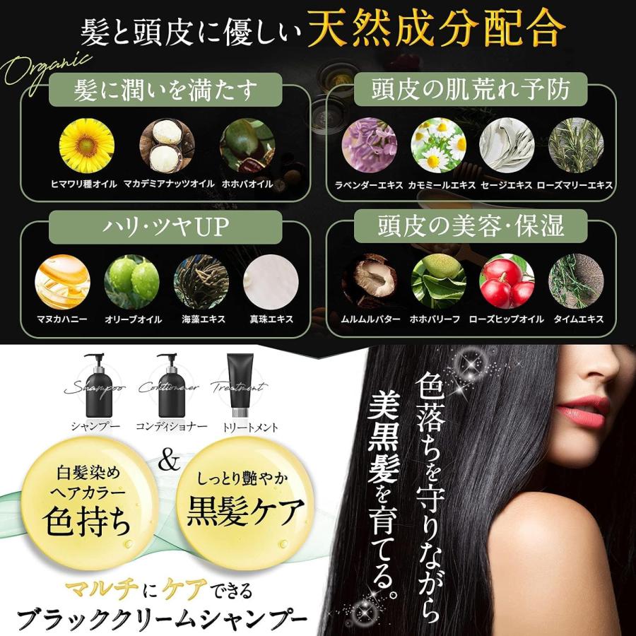 CREME DE ANN クレムドアン ブラッククリームシャンプー 1袋 CREME DE ANN クレムドアン ブラッククリームシャンプー 1袋