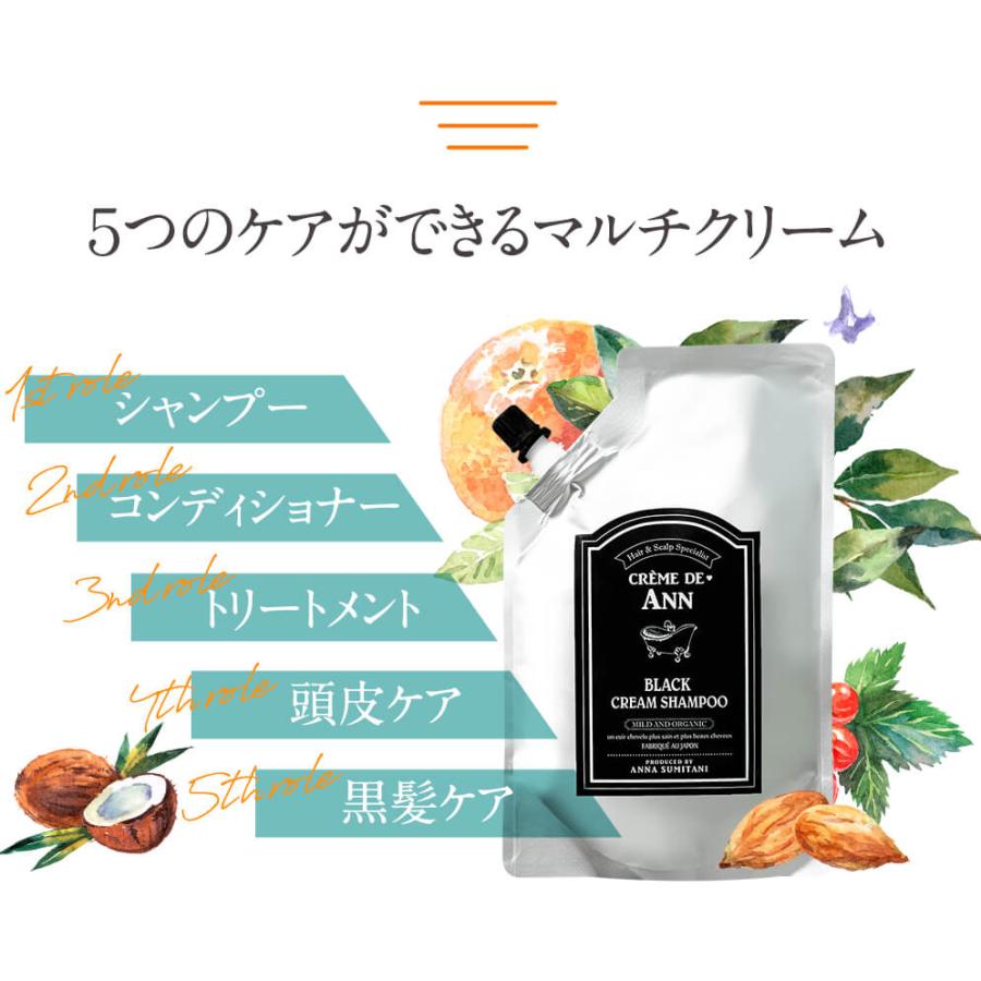 クレムドアン ブラッククリームシャンプー 1袋 400g/袋 CREME DE ANN BLACK CREAM SHAMPOO ノンシリコン  オーガニック ボタニカル 白髪ケア