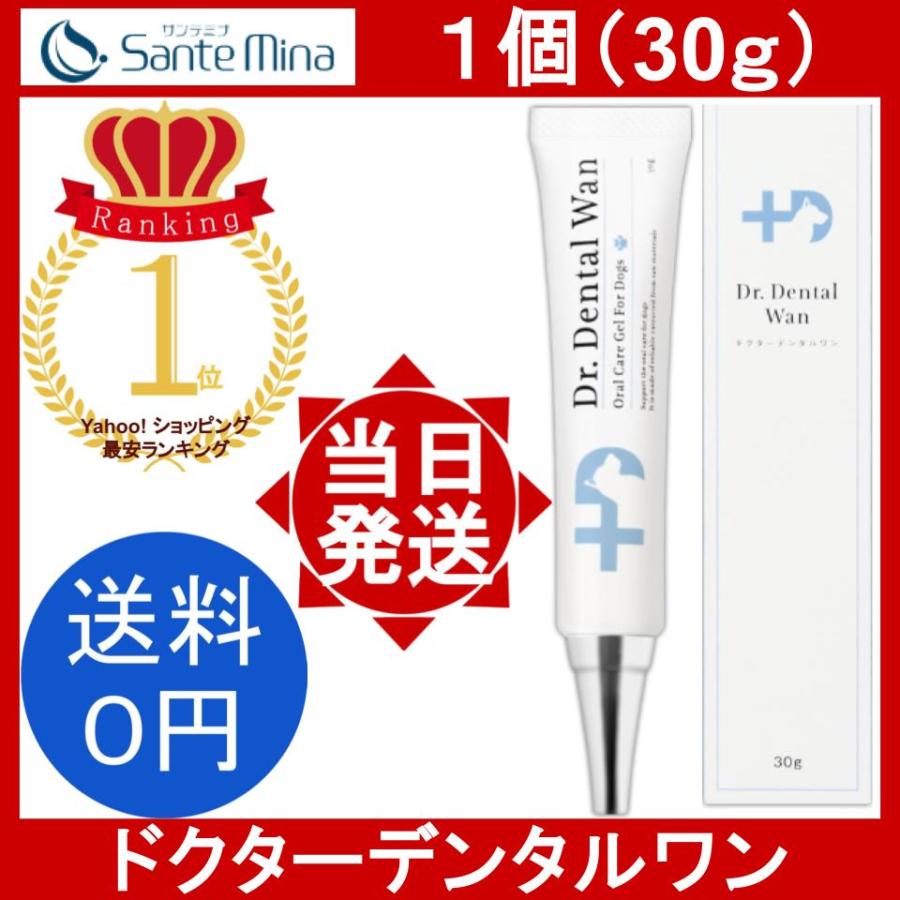 ドクターデンタルワン 1個 30g Dr. Dental Wan 犬 歯磨き 歯磨き ドクターデンタルワン 1個 30g Dr. Dental Wan 犬 歯磨き 歯磨き