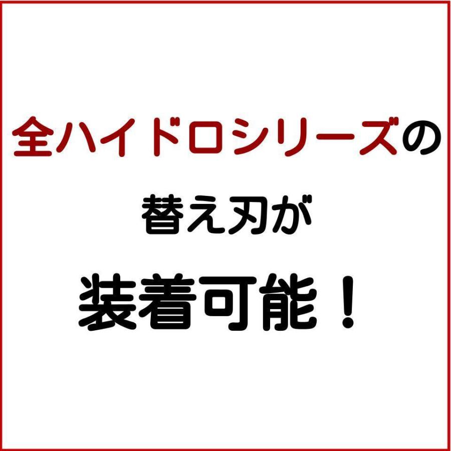 シック ハイドロ5 上位モデル カスタム ハイドレート ホルダーのみ 2本(装着刃なし) 本体のみ schick hydro5 custom ヒゲソリ 髭そり ひげ剃｜yorozu-ya-onlineshop｜03