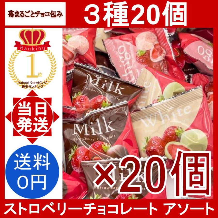 コストコ（Costco） ストロベリーチョコレート アソート 20個