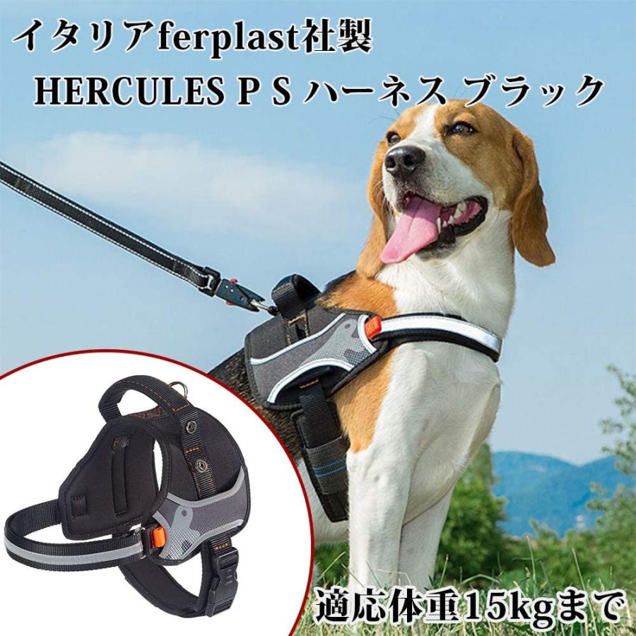 正規激安 ファープラスト ヘラクレス Hercules P ハーネス 適応体重15kgまで さんぽグッズ 散歩用品 お出かけ お散歩グッズ 介護 ブラ Yorozu Ya 通販 Yahoo ショッピング 在庫有 Www Jolimmo Ch