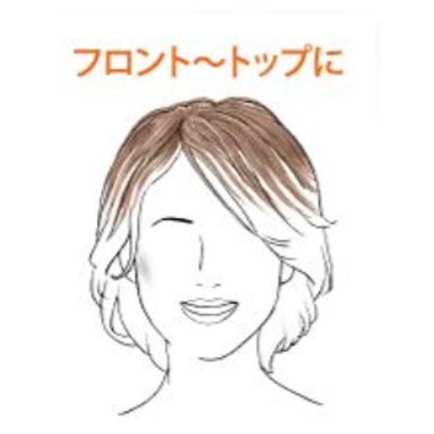 レオンカ SF-T02 初めてウィッグ 部分ウィッグ : よろず混む - 通販 