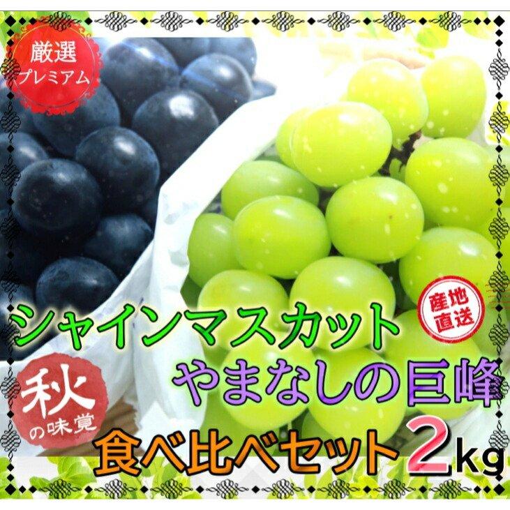 w9 山梨県産 ぶどう シャインマスカット 4kg 朝採り産地直送