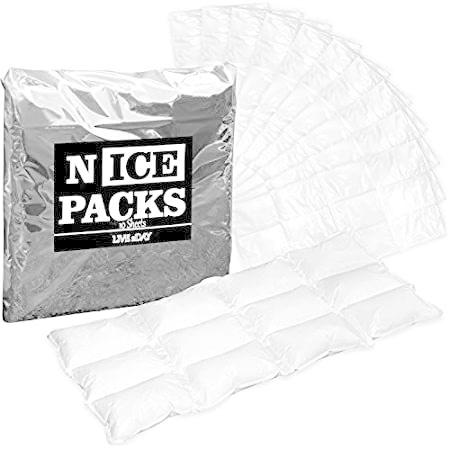 人気ブランドの新作 配送食品 ドライ アイス ライブ2日 大判シート10枚 長持ち 再利用可能 柔軟 非毒性 クーラーとランチ ボックス用アイスパック クーラーボックス Www Aquariumboka Ucg Ac Me