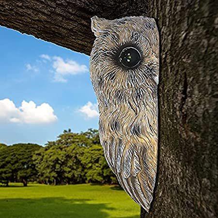 安いそれに目立つ 緑の目 ツリーフィギュア ツリーハガー ソーラーフクロウ 面白いフクロウの木 オーナメント 庭 庭 屋外サテー 覗き見 その他インテリア雑貨 小物 Pathwaysfl Org