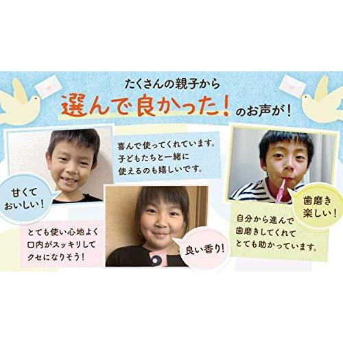 公式 Alito アリート 子供 歯磨き粉 子ども 口臭ケア 口腔ケア オーラルケア 歯みがき Clo2 30g 2本 B0h8r4fw よろず屋ぼったん 通販 Yahoo ショッピング