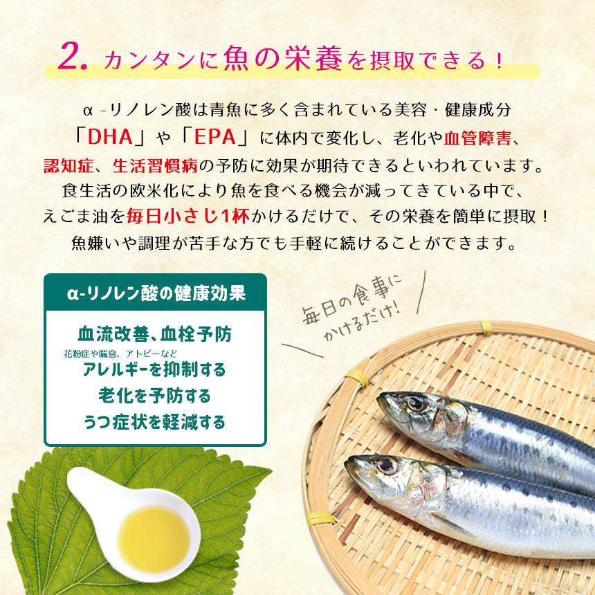 完全国産 えごま油 無添加 無農薬 きくちのえごま 45g 送料無料 Ke 01 食べラク 通販 Yahoo ショッピング