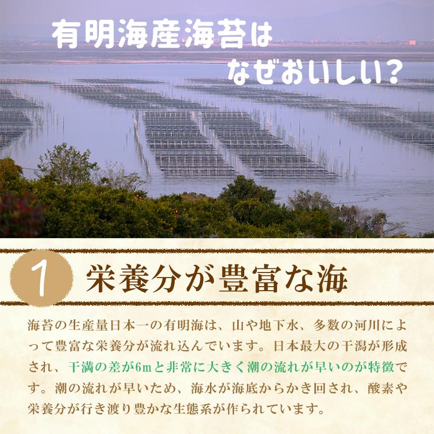 有明海産 焼きのり 全型 わさび味 30枚 味海苔 おつまみ ビールのお供