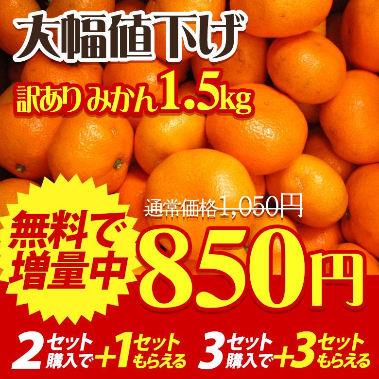 熊本県産 訳ありみかん 1 5kg 11月下旬より順次発送 熊本 果物 フルーツ 蜜柑 ミカン 規格外 産地直送 送料無料 Yf 25 食べラク 通販 Yahoo ショッピング