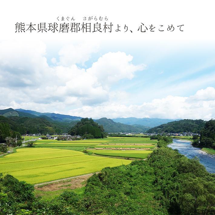 熊本相良村産さがら茶（90g×3本入）  特産品 一番茶葉 お茶 緑茶 煎茶 自園自製 送料無料｜yorozuya-f｜02