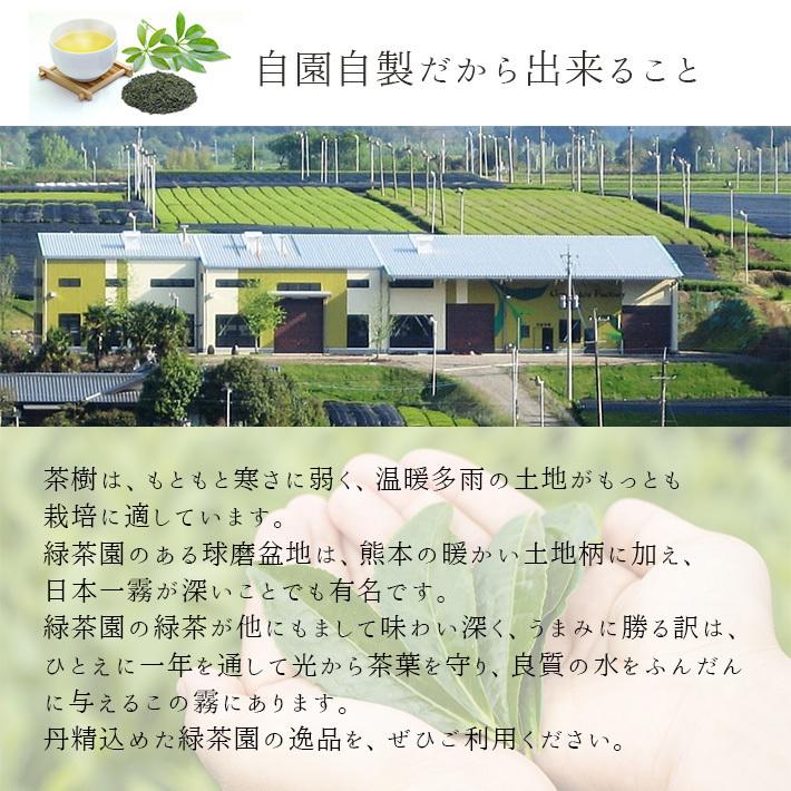 熊本相良村産さがら茶（90g×3本入）  特産品 一番茶葉 お茶 緑茶 煎茶 自園自製 送料無料｜yorozuya-f｜03