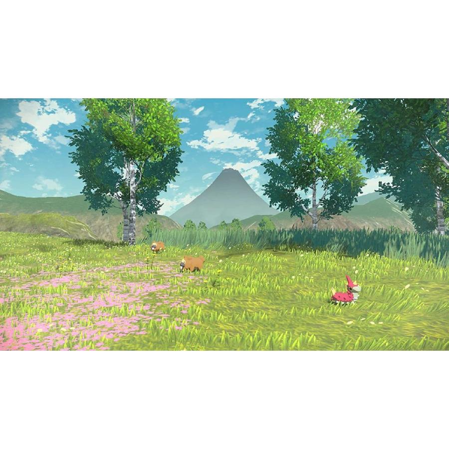 販売期間 限定のお得なタイムセール Pokmon Legends Arceus 輸入版 北米 Sｗｉｔｃｈ Karolinemedeiros Com Br