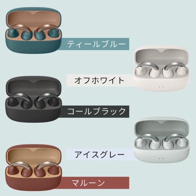 JVCケンウッド ビクター ワイヤレスイヤホン HA-NP1T イヤホン JVCケンウッド ビクター ワイヤレスイヤホン HA-NP1T イヤホン