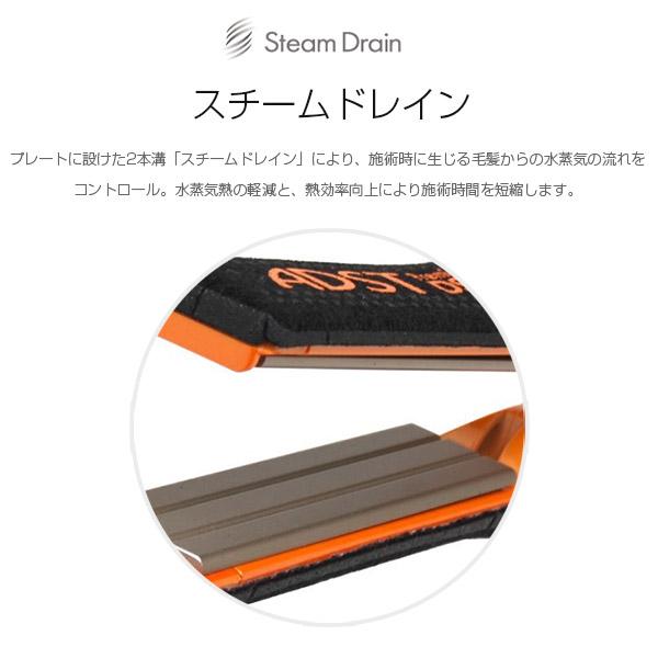 ADST（アドスト） DS2 FDS2-25 ストレートアイロン 縮毛矯正 正規品