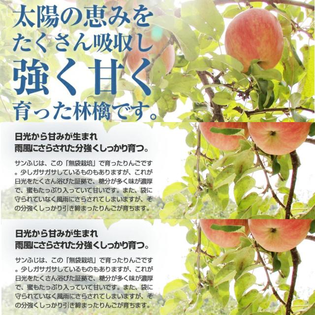 神々の林檎 高級 りんご ジュース りんごジュース 720ml 果汁100％ ストレート｜yorozuya-gn｜03