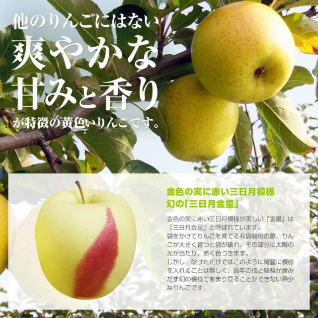 神々の林檎 高級 りんご ジュース りんごジュース 720ml 果汁100％ ストレート｜yorozuya-gn｜07