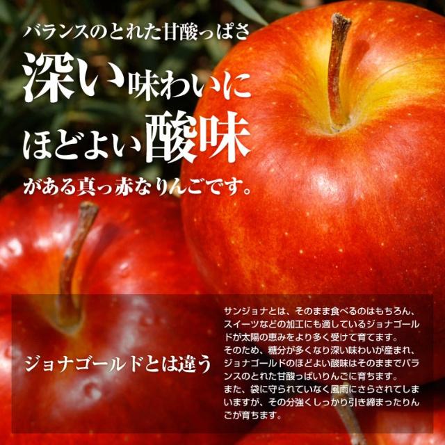 神々の林檎 高級 りんご ジュース りんごジュース 720ml 果汁100％ ストレート｜yorozuya-gn｜08
