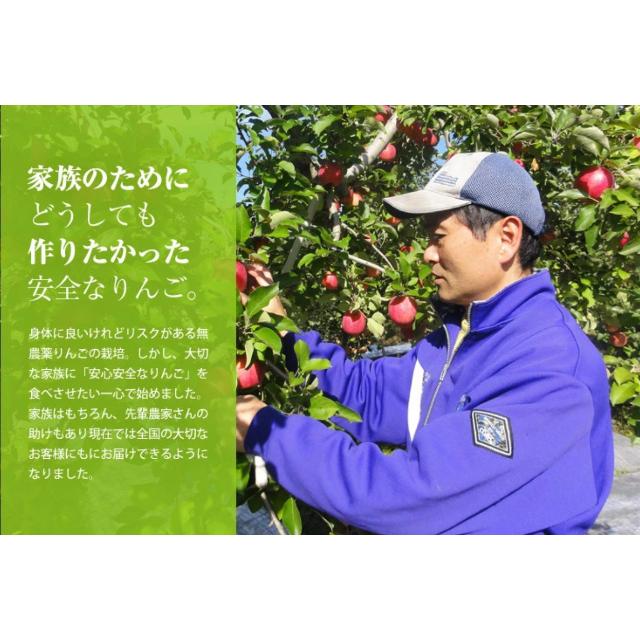 神々の林檎 高級 りんご ジュース りんごジュース 720ml 果汁100％ ストレート｜yorozuya-gn｜09