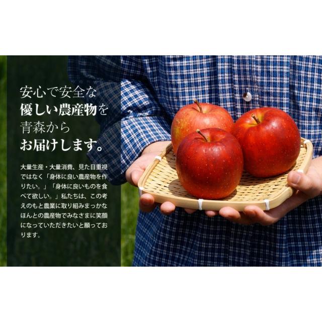 神々の林檎 高級 りんご ジュース りんごジュース 720ml 果汁100％ ストレート｜yorozuya-gn｜10