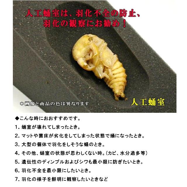 ミタニ（ペット用品） ミタニ メガエッグ メガエッグLL BK-08人工蛹室