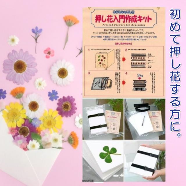 hanaさん専用 ハンドメイド商品 hanaさん専用 ハンドメイド商品 楽天市場 | アクセサリーパーツ