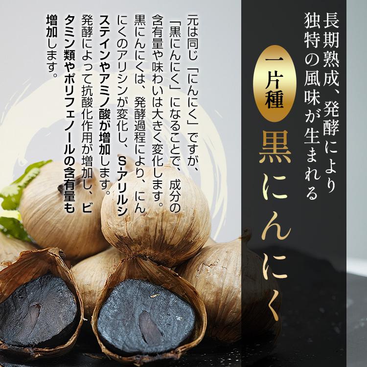 ◎在庫限り◎黒ウコン◎球根◎芽出し種芋◎ブラックジンジャー◎脂肪燃焼◎自然栽培◎ アシックス（ASICS）（メンズ）野球スパイク 金具 黒 ゴールド