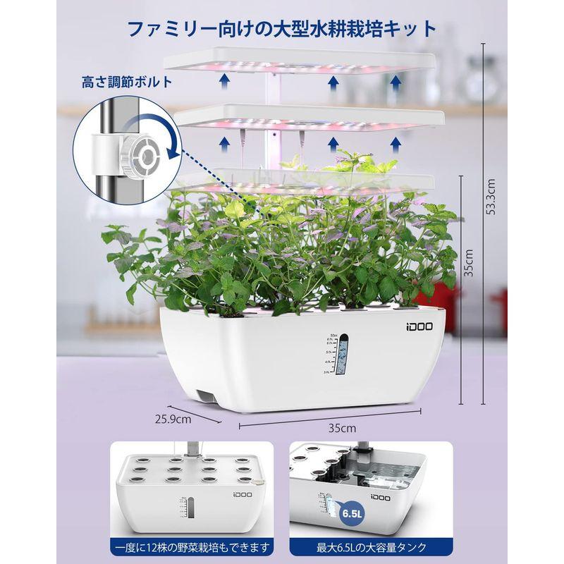 もらって嬉しい出産祝い iDOO イドー 水耕栽培キット 野菜栽培セット