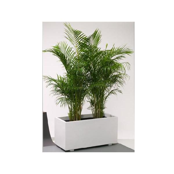 プランター大型 アウトレットホワイトプランター ｗ80型f80 1 よろずや倉庫 通販 Yahoo ショッピング