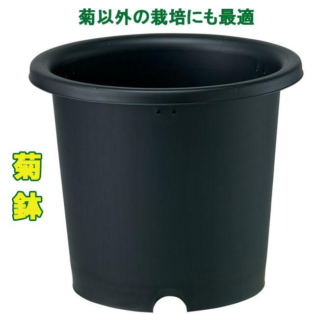 植木鉢菊鉢８号ポット よろずや倉庫 通販 Yahoo ショッピング