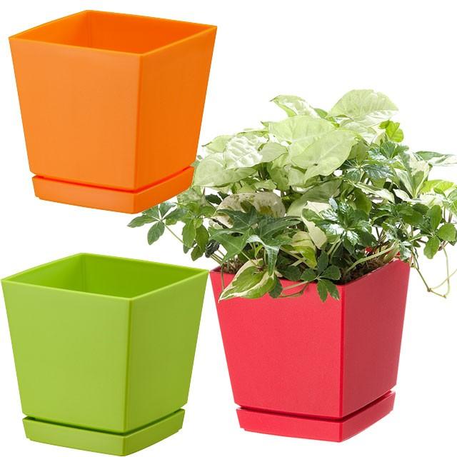 クエンチローポット 鉢皿付 5号 out よろずや倉庫 通販 Yahoo ショッピング