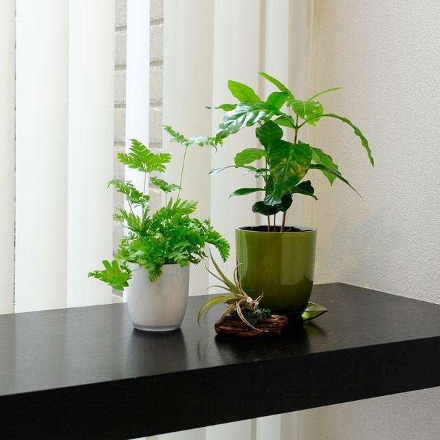 Pon C 2号 ポット 鉢カバー よろずや倉庫 通販 Yahoo ショッピング