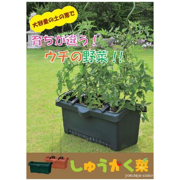 家庭菜園プランター しゅうかく菜 800型 よろずや倉庫 通販 Yahoo ショッピング