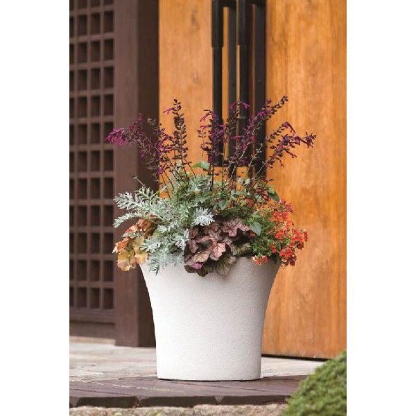 アウトレットクラウンcr型 大型ポット 鉢 Out よろずや倉庫 通販 Yahoo ショッピング