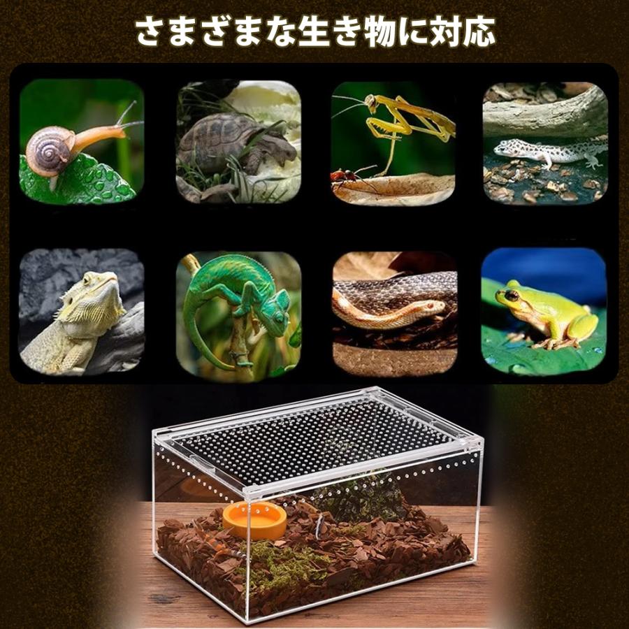 爬虫類ケージ アクリルケージ 一体型 組立不要 レオパ ヤモリ 飼育