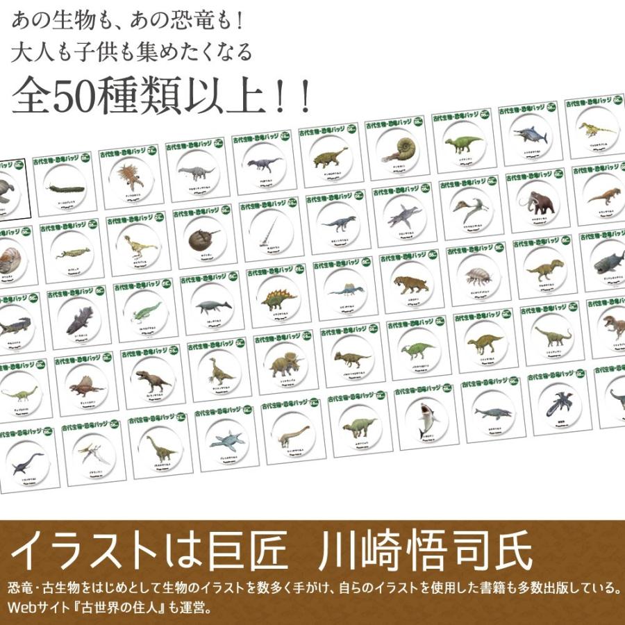 今だけ送料無料 納期が早い 恐竜 古代生物 缶バッジ Or キーホルダー Or マグネット 丸型56mm アノマロカリス Dinosour 3 おもしろ名入れ よろずやデザイン 通販 Yahoo ショッピング