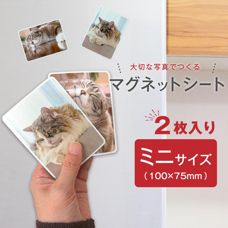 写真 名入れ マグネットシート ( ミニサイズ・2枚セット )子供 カード はがせる オリジナル 作成 オーダー | 