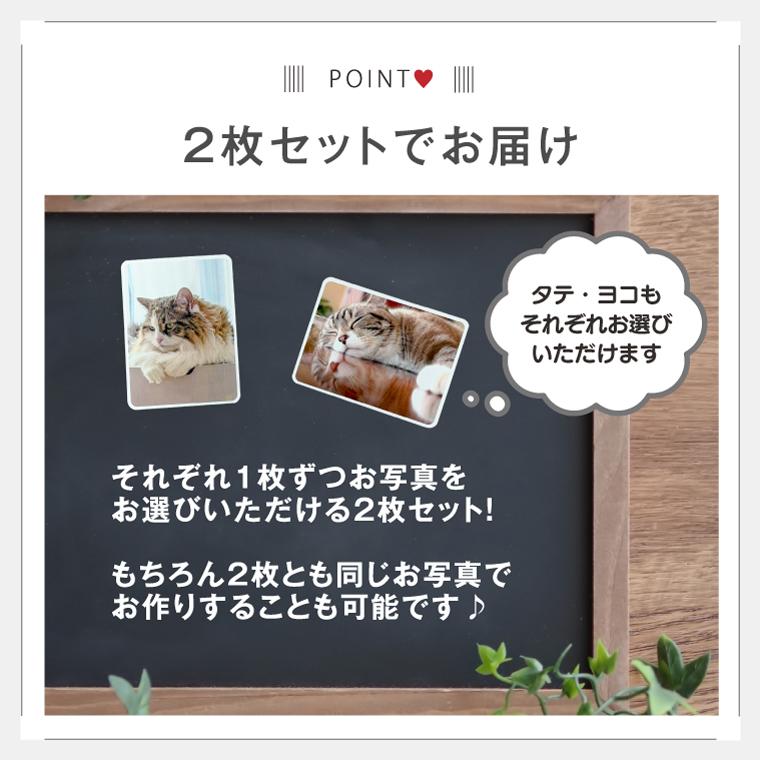 写真 名入れ マグネットシート ( ミニサイズ・2枚セット )子供 カード はがせる オリジナル 作成 オーダー |  | 05