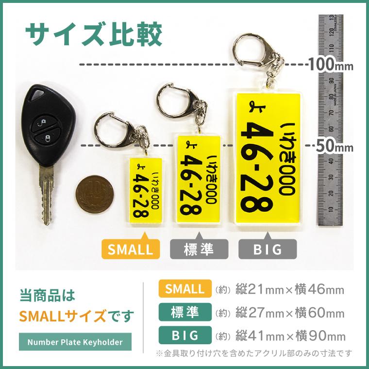 ナンバープレート キーホルダー 自動車 SMALL 小 サイズ