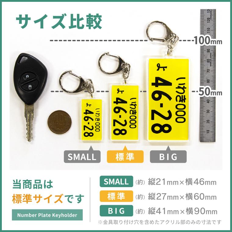 ナンバープレート キーホルダー 自動車 標準 サイズ プレゼント