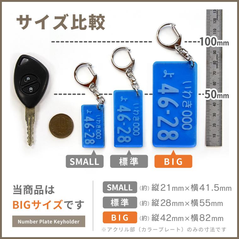 ナンバーナイン　キーホルダー5個セット ナンバープレート キーホルダー 自動車 標準 サイズ ( 5個
