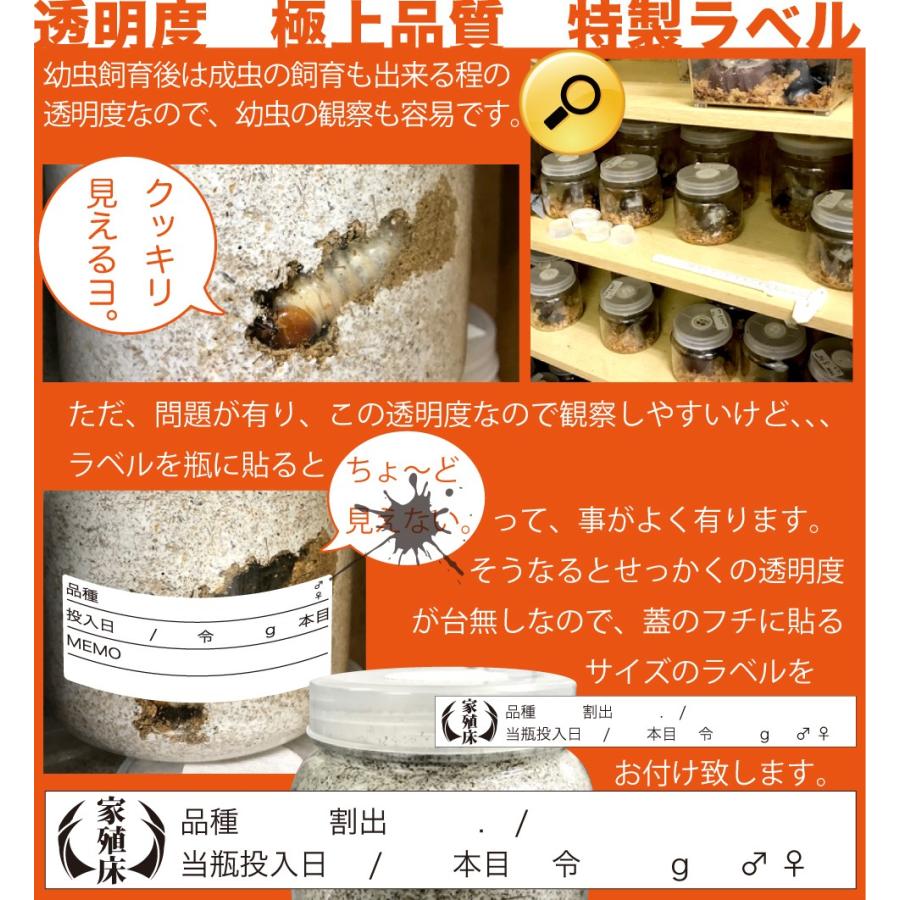 菌糸プリンカップ 200cc 家殖床金 5個セット 【かしょくしょう